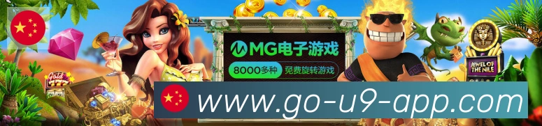 未来规划